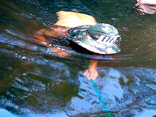 cg7_734.jpg