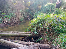 cg8_045.jpg