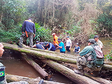 cg8_051.jpg