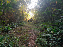 cg8_072.jpg