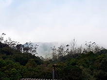 cg8_073.jpg