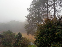 cg8_077.jpg