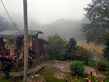cg8_078.jpg