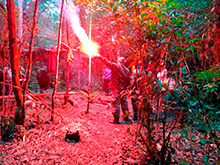 cg8_176.jpg