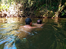cg8_332.jpg
