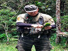 cazanga_113.jpg