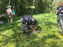 cg10_005.jpg