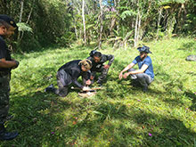 cg10_008.jpg