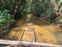 cg10_011.jpg