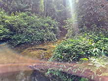 cg10_012.jpg