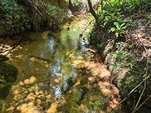 cg10_022.jpg
