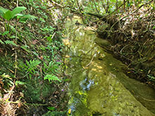 cg10_023.jpg
