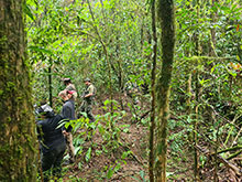 cg10_037.jpg