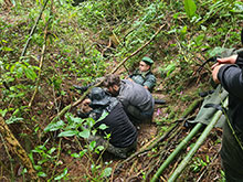 cg10_044.jpg