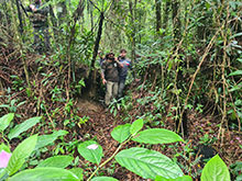cg10_050.jpg