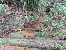 cg10_055.jpg