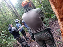 cg10_058.jpg