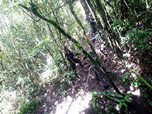 cg10_062.jpg