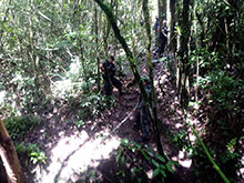 cg10_063.jpg
