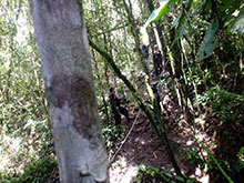cg10_064.jpg