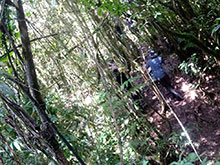 cg10_066.jpg