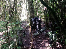cg10_067.jpg
