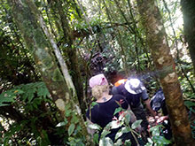 cg10_072.jpg