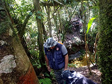 cg10_073.jpg