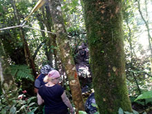 cg10_074.jpg