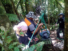 cg10_078.jpg