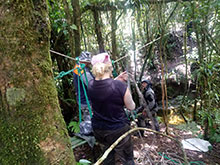 cg10_079.jpg