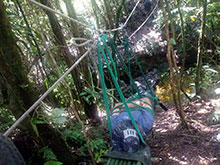 cg10_082.jpg