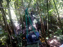 cg10_083.jpg