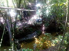 cg10_087.jpg