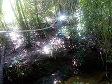 cg10_088.jpg