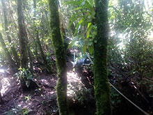 cg10_089.jpg