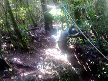 cg10_090.jpg