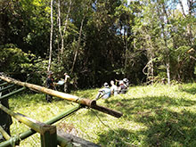 cg10_097.jpg