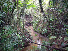 cg10_124.jpg