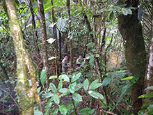 cg10_126.jpg
