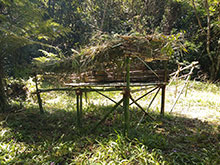 cg10_129.jpg