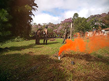 cg10_134.jpg