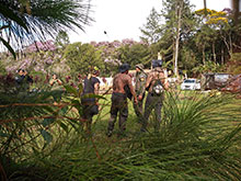 cg10_138.jpg