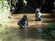 cg10_149.jpg