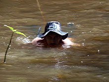 cg10_168.jpg