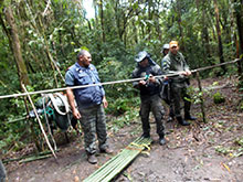 cg10_203.jpg
