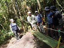 cg10_205.jpg