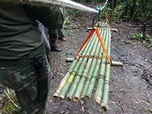 cg10_210.jpg