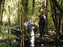 cg10_220.jpg