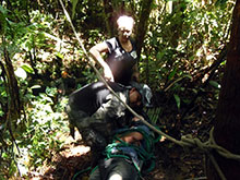 cg10_224.jpg